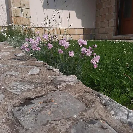 Tara Malesevic - 2 Daire