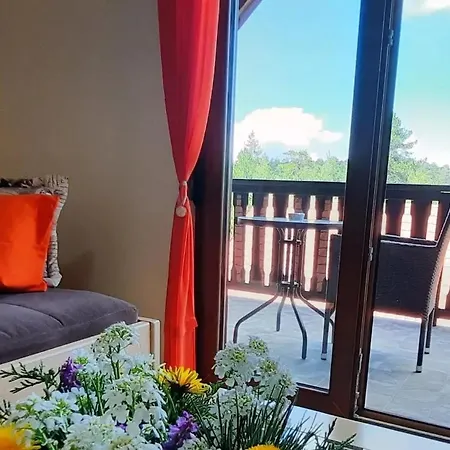 Tara Malesevic - 2 Daire